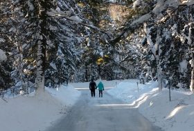 Arrowhead Ice Skating